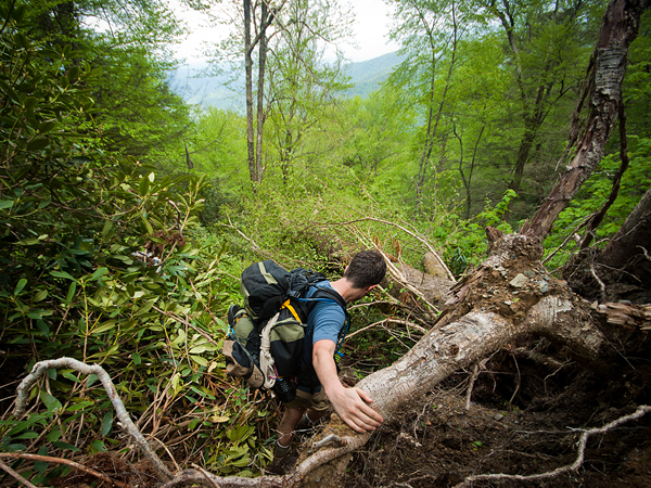 Những con đường m&ograve;n vĩ đại nhất thế giới